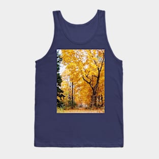 Autumn Path Tank Top